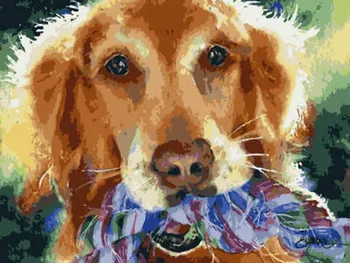 

Coloring by numbers on cardboard "dog" color kit ks044