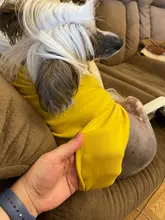Ropa de perro de moda ropa de invierno para perros pequeños perros mediano chaqueta de abrigo Chihuahua ropa para mascotas para pequeño mediano perros Carlino