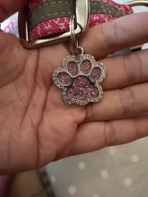 Etiqueta de identificación del perro de mascota grabado gratis, etiqueta personalizada para gato, cachorro, Collar para mascota, accesorios para perros, colgante de etiquetas de nombres antipérdida