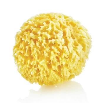 

Natural Sea Sponge