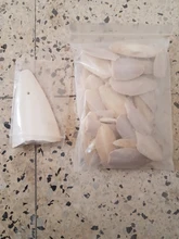 Cuttlefish Products Birds Tortoise Bone Chew-Toy Parrot Health-Care for Pet-Budgie Reptiles