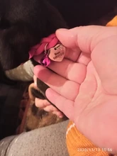 Dog-Collar Engraved Name-Tag Braided Dog Puppy Dogs Small Personalized Free-Bell 