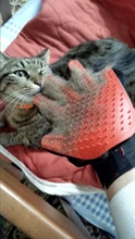 HOOPET Gato Guantes de Masaje Peine Del Pelo Del Cepillo de Baño Para Mascotas Perro Mascota de Aseo productos de Limpieza