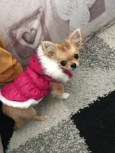 Dog Cat Winter Warm Coat Jacket Dress Pet Puppy Hoodie Winter Warm Clothes Apperal