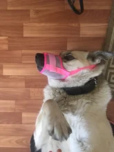 De policarbonato para perros ajustable máscara ladrar morder de la boca de malla boca aseo Anti deja de masticar