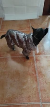 Ropa de abrigo para Perros Bulldog Francés, Ropa de cachorro, Chihuahua, yorkie, abrigo de perrito mascota, chaqueta, perros, mascotas