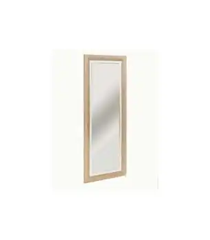 

Dressing mirror Given.
