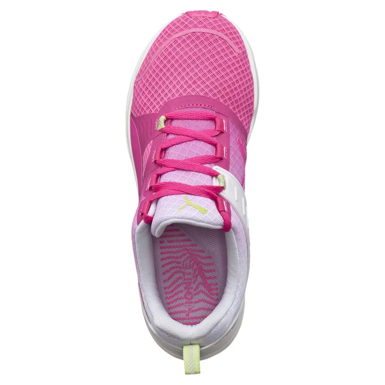 Женские кроссовки Puma Ignite XT V2 18898502