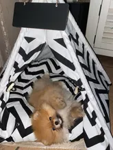 Tienda de campaña portátil para mascotas, casa de perro, cama para gato con cojín para perro cachorro