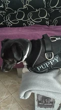 Dadugo-arnés para perro personalizado, etiquetas reflectantes, arnés de mascota ajustable para cachorro, animales medianos y grandes, envío directo