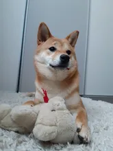 Bike Gloves West-Biking Touch-Screen Anti-Slip Ciclismo Warm Full-Finger-Luva Winter