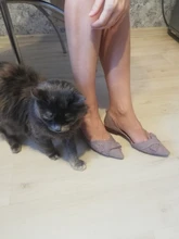 Zapatos planos a la moda para mujer, zapatillas náuticas de punta estrecha, informales, sin cordones, elegantes, para primavera y verano, A1394, 2021