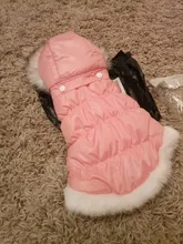 Dog Cat Winter Warm Coat Jacket Dress Pet Puppy Hoodie Winter Warm Clothes Apperal