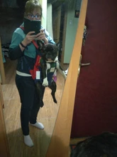 Pet-Backpack-Carrier Puppy-Mochila Dog-Bag Bulldog Dogs Carrying Animals Travel Small