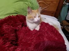 Camas redondas de felpa para gatos, cama de perro suave y larga para canasta para perros, cojín, cama para gatos, alfombrilla para animales, sofá para dormir, productos para mascotas