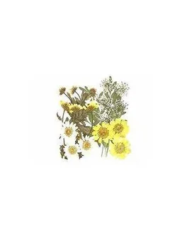 

FLOWERS DRY PRESSED TO DECORATE POUPURRI 1