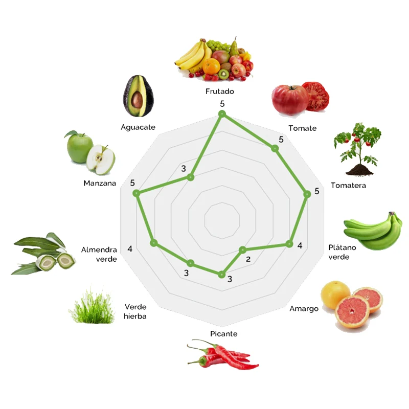 Extra virgin olive oil, Cortijo La Muralla, Arbequina variety, 2 2 L Garrafas, cold extraction, AOVE 100% Natural