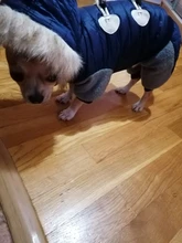 Jumpsuit Dogs Winter New for Jacket Pet-Coat Hooded Warm Thickening