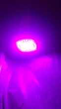 Growth-Light Flower Uv-Lamp Seedling Hydroponic Phyto Led Plant GU10 MR16 Full-Spectrum