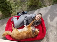 Dog-Beds Cage Lounger Pet-House-Cushion Dogs-Mat Bench-Medium Golden Retriever Large