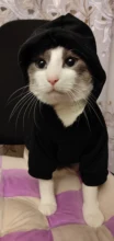 Cat Clothes Pet Cat Coats Jacket Hoodies For Cats Outfit Warm Pet Clothing Rabbit Animals