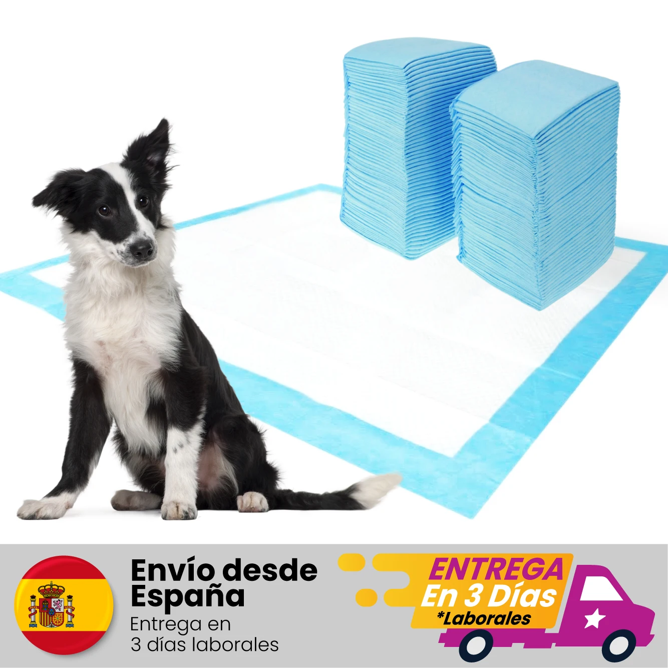 Empapadores Perros y Gatos 80 uds toallitas de entrenamiento mascotas empapadores de adiestramiento perro