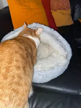 Cat-Bed Cats Nest Puppy-Sleeping-Bag Dogs Plush Soft Round Small Warm Winter New Long