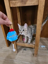 Funny Pet Toys Cartoon Cute Bite Resistant Plush Squeaky Toy Pet Chew Toy For Cats Dogs