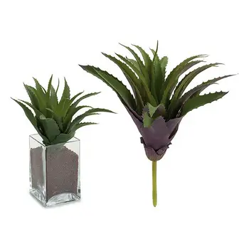 

Decorative Plant Ibergarden (25 x 27 x 25 cm)