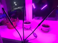 LED Grow Light USB Phyto Lamp Full Spectrum Grow Tent Complete Kit Phytolamp for Plants