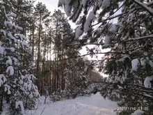 XIAOMI MIJIA Smart antibacteriano humidificador inteligente UV-C esterilización, purificador de aire Emisión de difusor de aceite esencial de la niebla