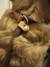 Rope-Belt Pet-Products Dog-Harness Dog-Lead-Leash Lightweight Nylon Training Walking