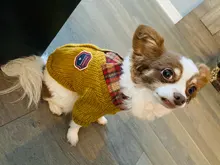 Sweater Coat Pets Chihuahua Puppy Gentle Para Medium Dog Knitted Small for Warm Ropa