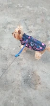 Ropa de invierno para mascotas, atuendo con chaleco cálido para perros pequeños, abrigo para perro, Chihuahua acolchado, a prueba de viento, 20