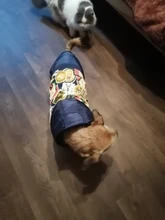 HOOPET Large Coat Down-Jacket Winter New Warm Autumn for Dogs Dog-Prints Overalls Leisure-Style