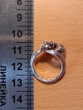 Anillo de serpiente Chapado en plata y Rattlesnake para hombre y mujer, Joyería Moderna de estilo Hip Hop, Punk, para fiesta y motocicleta