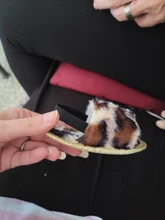 Sandalias con peluche para niñas pequeñas, zapatos planos de piel sintética con suela suave, zapatillas con correa de soporte elástico, para el hogar