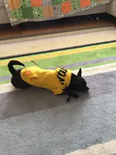 Dog Hoodies Jacket Costume Coat French Bulldog Chihuahua Winter for Pets-Clothing