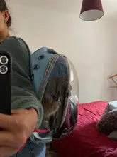 Bolsa de transporte portátil para perros y gatos, cápsula espacial transpirable, bolsa de viaje para astronauta, mochila transparente para mascotas pequeñas para exteriores