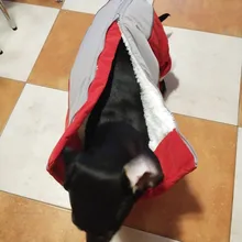 Winter Overalls for Dogs Warm Waterproof Pet Jumpsuit Trousers Male/ Female Dog Reflective