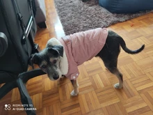 French Bulldog Small Dogs Pugs Winter For Chihuahua Outfit Pink Warm Clothing Roupa Pet-38s2