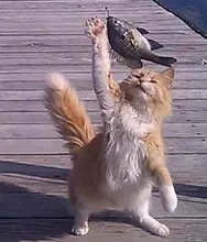 IMC Hot SPDT Nonslip Metal Momentary Electric Power Foot Pedal Switch