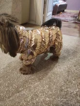 Jacket Clothing Puppy Small Dogs Waterproof Winter Overalls Pet-Coat Dog-Jumpsuit Fleece