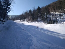 NAIERDI 1-24 Uds Auto adhesivo de pierna de muebles de alfombrilla para los pies almohadillas de fieltro alfombrilla antideslizante parachoques amortiguador para mesa Silla de Protector de Hardware