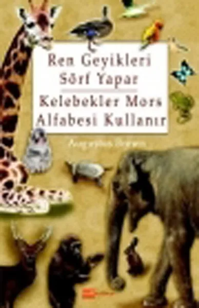 Олень делает серфинг бабочки Морзе код использует Август коричневый Hitkitap