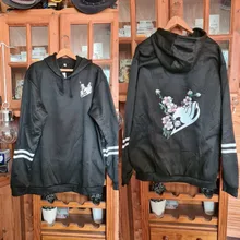 Sudadera con capucha de Fairy Tail, ropa de calle de manga larga, Anime japonés, Otoño, 2020