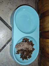 New Cat Dog Double Pet Bowls Feeding and Drinking Bowls Food Water Feeder for Dog Puppy