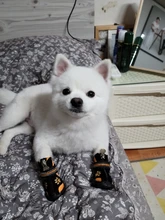 Boots Pet-Shoes Dog Large Waterproof Anti-Skid Small Winter Golden Warm Big 8-Sizes Wear-Resistant