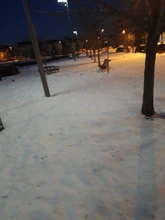 Pendientes de árbol de la vida para mujer, aretes de Color plata, pendientes de Francia para mujer, aretes con gancho para la oreja, joyería cabujón de cristal