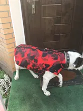 Vest Coat Jacket Pet-Dog-Clothes French-Bulldog-Pet Dogs Small Waterproof Large Winter